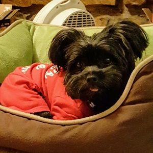 Meet your Posher, Janet