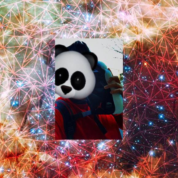 Meet your Posher, Ethan - Picture 1 of 1