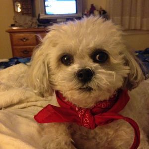 Meet your Posher, Gail