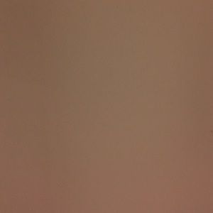 Meet your Posher, Brandi