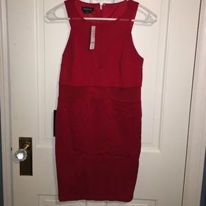 NWT Bebe Mesh contrast ponte dress
