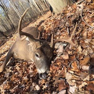 Meet your Posher, Brett