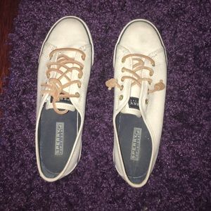 sperry canvas