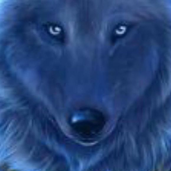 Meet your Posher, Shannon - Picture 1 of 1