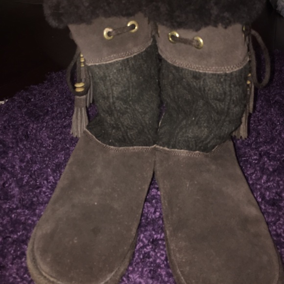 brown bear paws