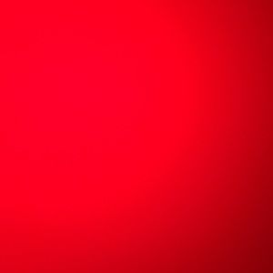 Meet your Posher, Reese