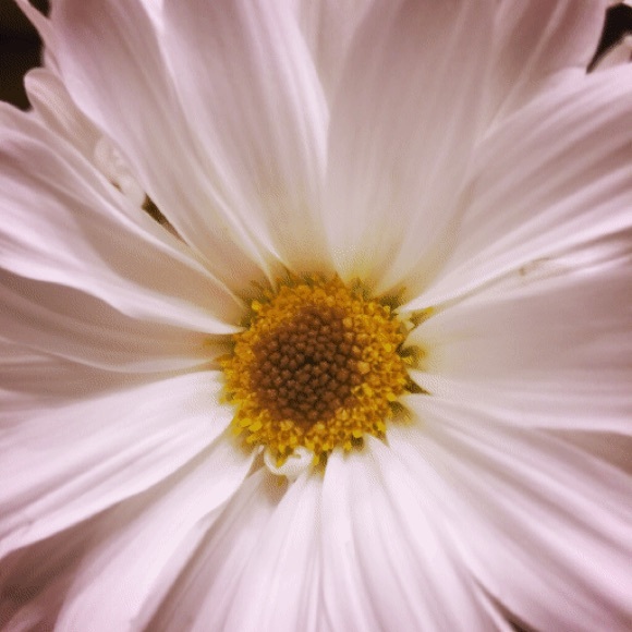 Meet your Posher, Bryan - Picture 2 of 2