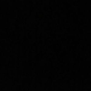 Meet your Posher, Emilia