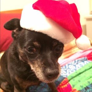 Meet your Posher, Maya