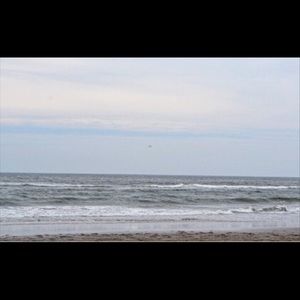 Meet your Posher, Abbey