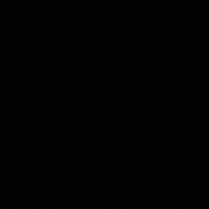 Meet your Posher, Theresa