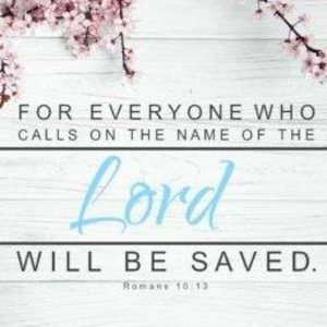 Meet your Posher, Alisa