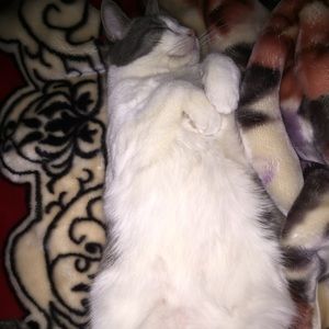 Meet your Posher, Jasmine