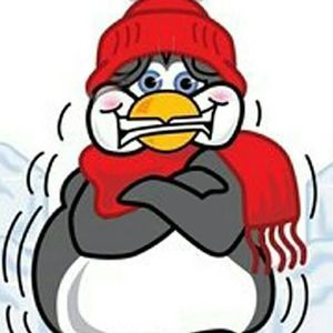 Meet your Posher, Tabitha