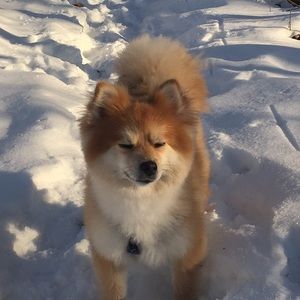 Meet your Posher, Jessie