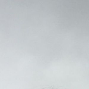 Meet your Posher, Lily