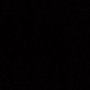 Meet your Posher, Denisha