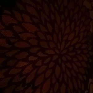 Meet your Posher, Lindsey