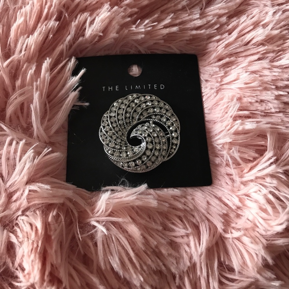 NWT The Limited Brooch