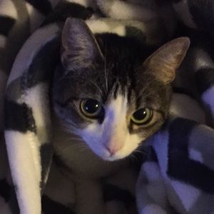 Meet your Posher, Audrey