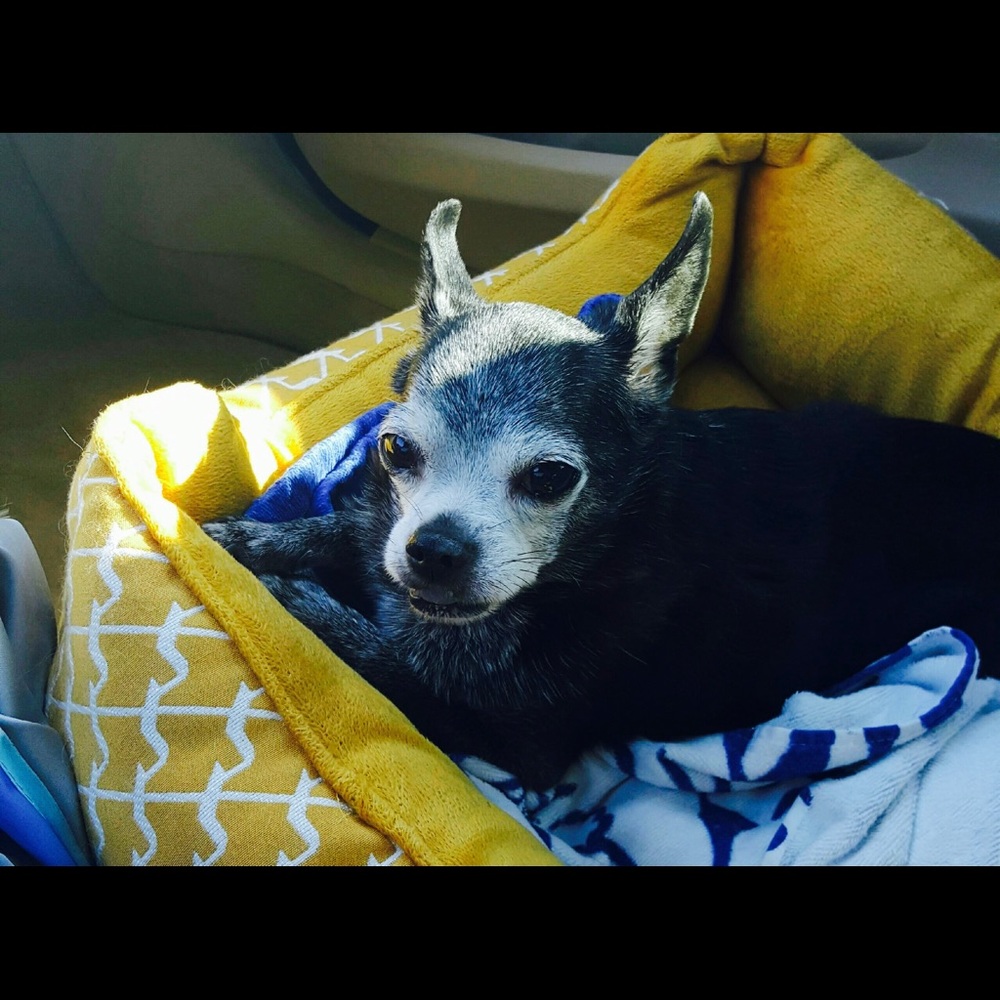 Meet your Posher, Elle