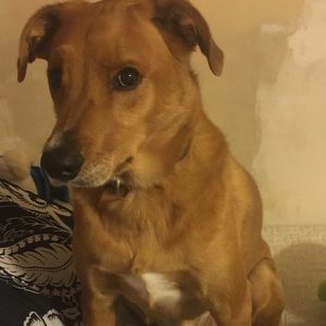 Meet your Posher, Liz