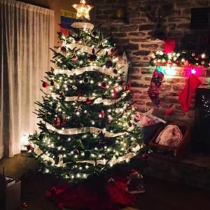 Meet your Posher, Molly