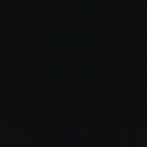 Meet your Posher, Shelby