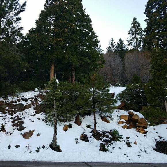 Meet your Posher, Andrea - Picture 1 of 1