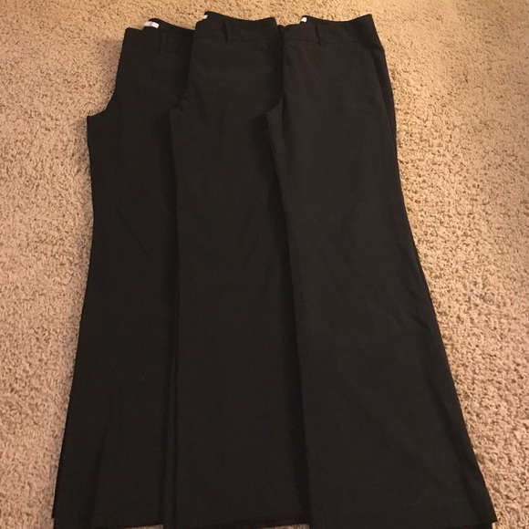 3** pairs of the 7th Avenue Pant - Picture 2 of 4