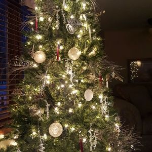 Meet your Posher, Lois