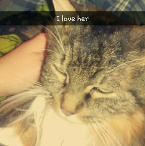 Meet your Posher, Abby