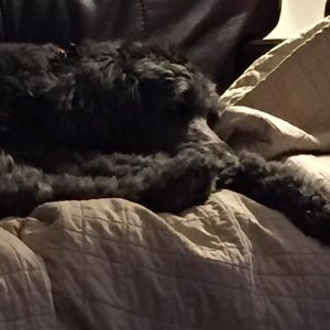 Meet your Posher, Mary rita