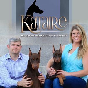 Meet your Posher, Dylan