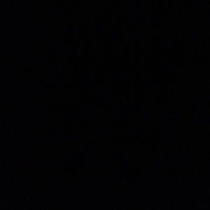 Meet your Posher, Kylee