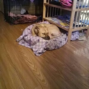 Meet your Posher, Shawna