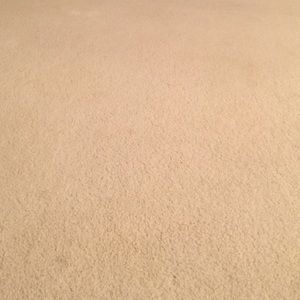 Meet your Posher, Zeng