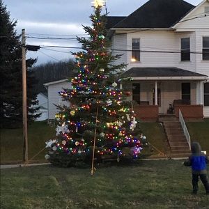 Meet your Posher, Nellie