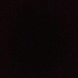 Meet your Posher, Ernesto