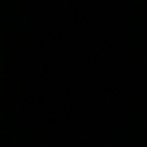 Meet your Posher, Blake