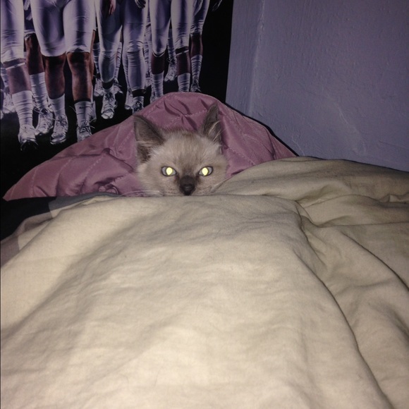 Meet your Posher, Scott - Picture 1 of 1