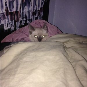 Meet your Posher, Scott