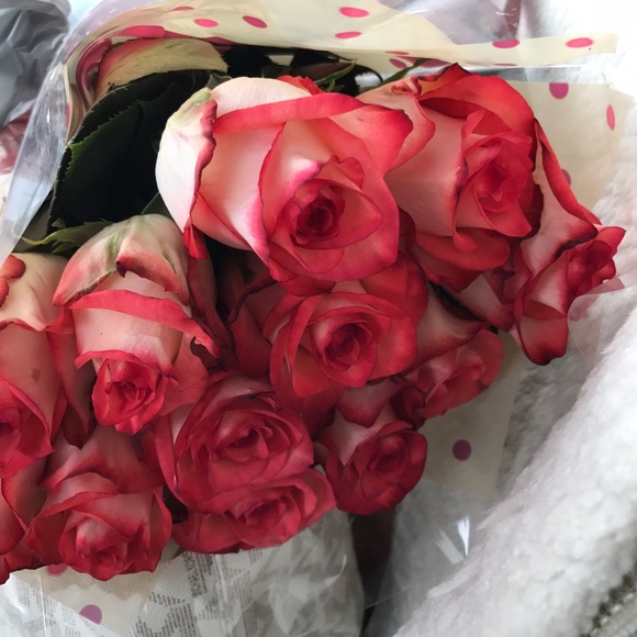 Meet your Posher, Dawn - Picture 1 of 1