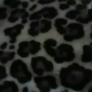 Meet your Posher, Shelby