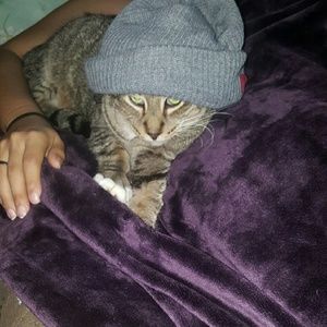 Meet your Posher, Edelia