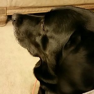 Meet your Posher, Elaine