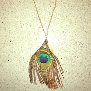 Peacock feather necklace