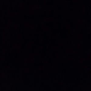 Meet your Posher, Brad