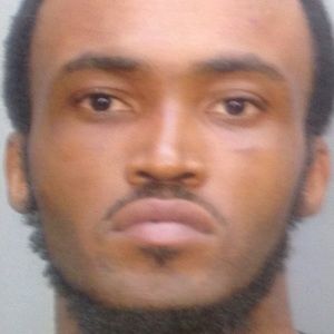 Meet your Posher, Donelle