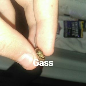 Meet your Posher, Mikey